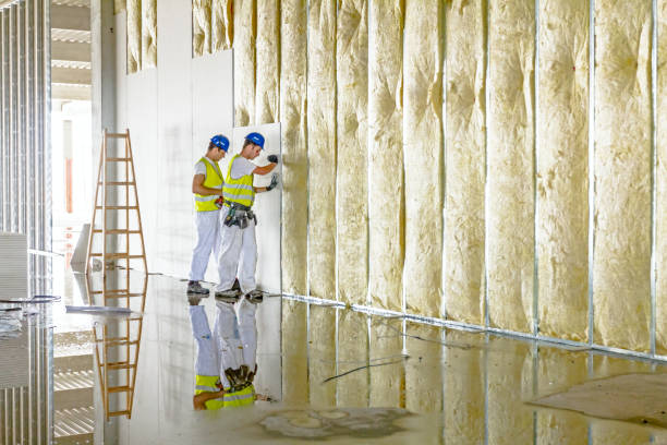 Best Wall Insulation Installation  in Toledo, IL